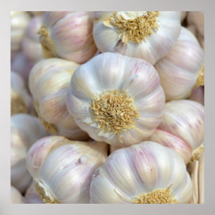 ピンクのニンニク ポスター