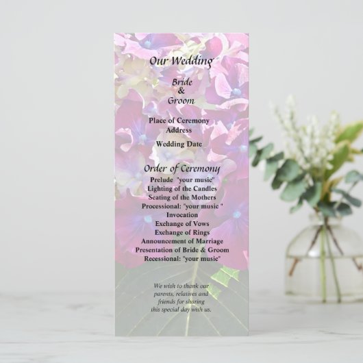 ピンクのハイドランジア2個 プログラム (スタンド正面)