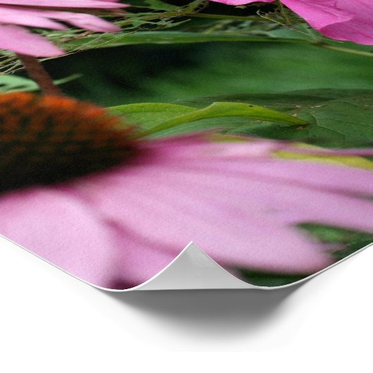 ピンクのハイビスカスとフラワーガーデンの友人 ポスター (角)