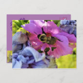 ピンクのハイビスカスのはがきに載っている蜂 ポストカード (正面/裏面)