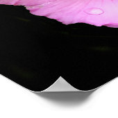 ピンクのハイビスカスのポスター ポスター (角)