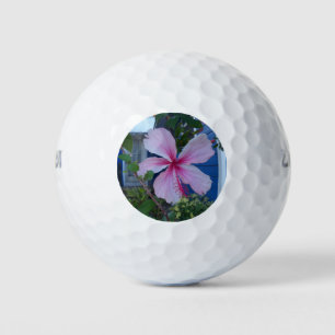 ピンクのハイビスカスの花と青いビーチコテージの壁 ゴルフボール