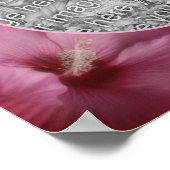 ピンクのハイビスカスの花フレーム　オリジナルの写真から作成 ポスター (角)