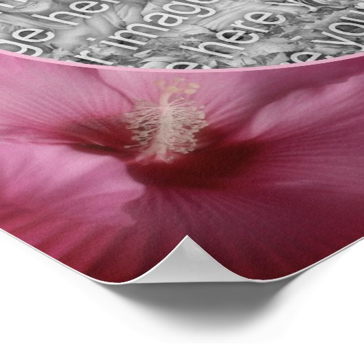 ピンクのハイビスカスの花フレーム　オリジナルの写真から作成 ポスター (角)