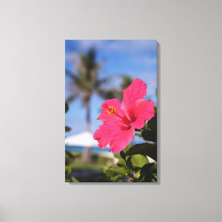 ピンクのハイビスカスの花 キャンバスプリント