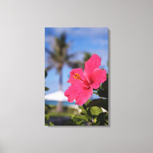 ピンクのハイビスカスの花 キャンバスプリント (正面)