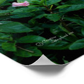 ピンクのハイビスカスフラワーツリーポスター ポスター (角)