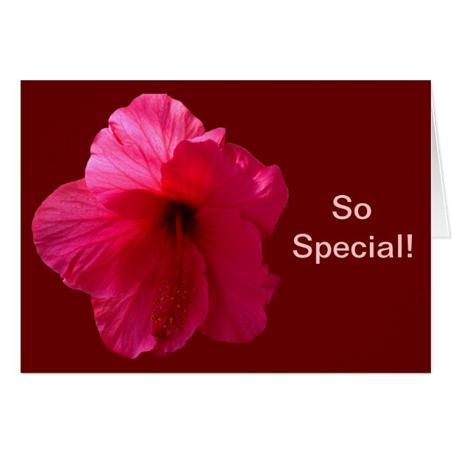 ピンクのハイビスカスフラワー (正面横)