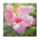 ピンクのハイビスカスフラワー タイル (正面)