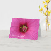ピンクのハイビスカスマクロ カード (黄色い花)