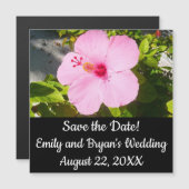 ピンクのハイビスカス熱帯花 (正面/裏面)