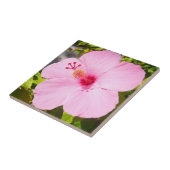 ピンクのハイビスカス熱帯花 タイル (側面)