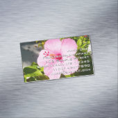 ピンクのハイビスカス熱帯花 マグネット名刺 (インサイチュ)