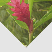 ピンクのハイビスカス熱帯花 薄葉紙 (詳細)