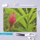 ピンクのハイビスカス熱帯花 薄葉紙 (クラフト)