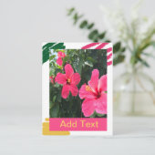 ピンクのハイビスカス ポストカード (スタンド正面)