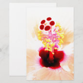 ピンクのハイビスカス 便箋 (正面/裏面)