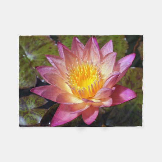 ピンクのハスの花の写真 フリースブランケット (正面(横))