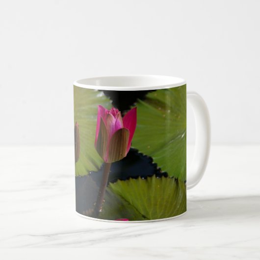 ピンクのハスの花 コーヒーマグカップ (正面右)
