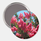 ピンクのハナサルスベリの花の写真 マグネット (正面/裏面)