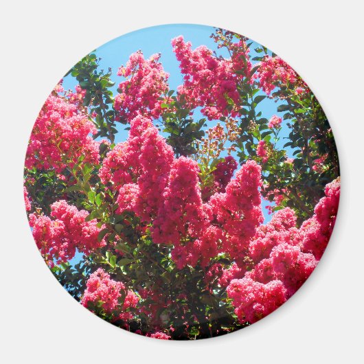 ピンクのハナサルスベリの花の写真 マグネット (正面)