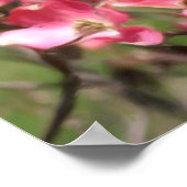 ピンクのハナミズキの花の写真絵画の花 ポスター (角)