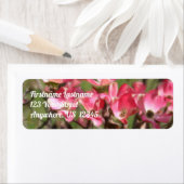 ピンクのハナミズキの花絵画の住所 ラベル (インサイチュ)