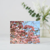 ピンクのハナミズキの花 ポストカード 開花した木 (スタンド正面)