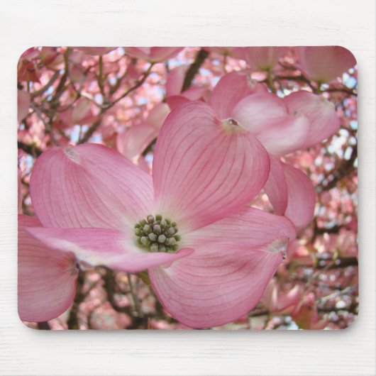 ピンクのハナミズキの花 マウスパッド (正面)