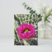 ピンクのハリネズミの花コレクション ポストカード (スタンド正面)
