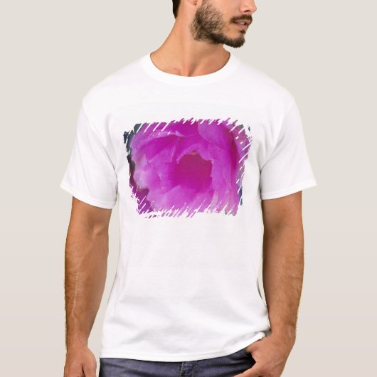 ピンクのハリネズミサボテンの花 (Echinocereus Tシャツ (正面)