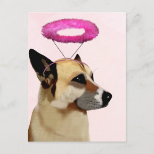 ピンクのハローの犬 ポストカード