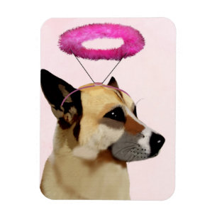 ピンクのハローの犬 マグネット