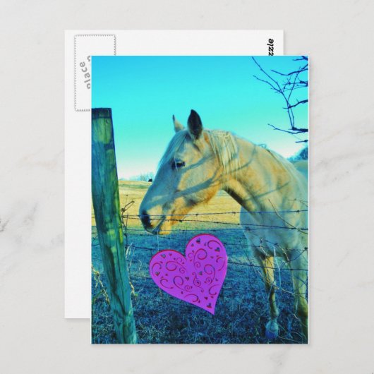 ピンクのハートと黄色の馬 ポストカード (正面/裏面)