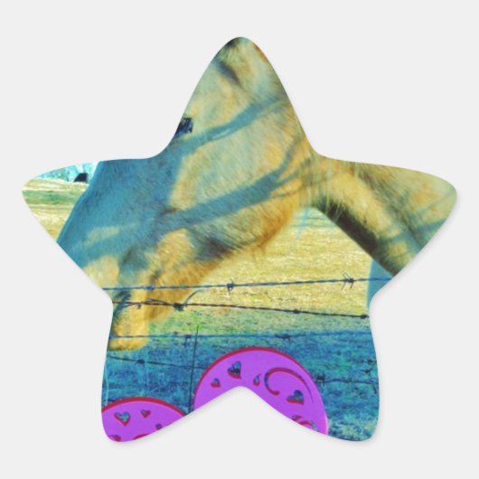 ピンクのハートと黄色の馬 星シール (正面)