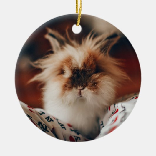 ピンクのハートバニーポーズ決して忘れ記念しない セラミックオーナメント (正面)