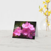 ピンクのバイオレットアフリカーナ セインパウリアの花 カード (黄色い花)