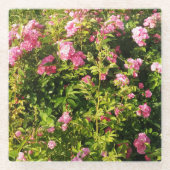 ピンクのバラが咲き誇る ガラスコースター (正面)