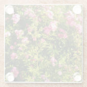 ピンクのバラが咲き誇る ガラスコースター (裏面)