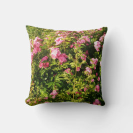 ピンクのバラが咲く クッション