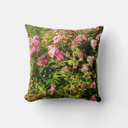 ピンクのバラが咲く クッション (正面)