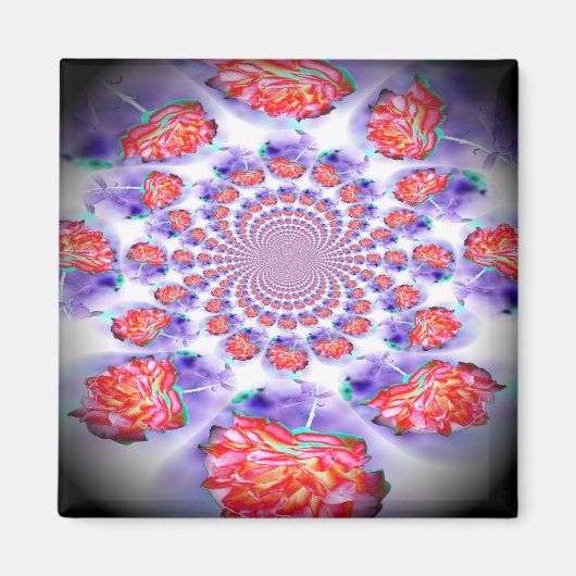 ピンクのバラが渦巻く マグネット (正面)