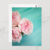 ピンクのバラとティール(緑がかった色)の背景 ポストカード (正面/裏面)