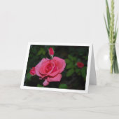 ピンクのバラとバラの花の肖像 カード (正面)