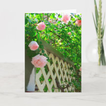 ピンクのバラと格子 – Martha's Vineヤード