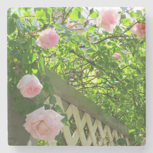 ピンクのバラと格子 – Martha's Vineヤード ストーンコースター (正面)