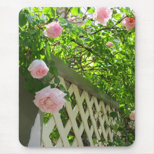 ピンクのバラと格子 – Martha's Vineヤード マウスパッド (正面)