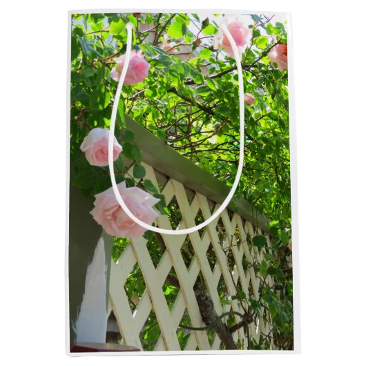 ピンクのバラと格子 – Martha's Vineヤード ミディアムペーパーバッグ (正面)