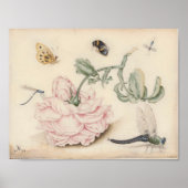 ピンクのバラと淡い色の昆虫を持つヴィンテージ ポスター (正面)