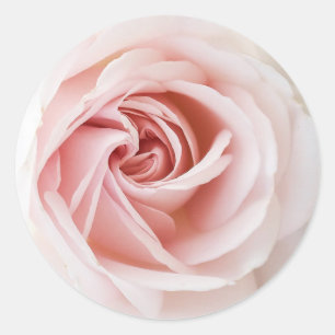 ピンクのバラと白い木のシャビーシックなスタイルの花嫁のシャワー ラウンドシール